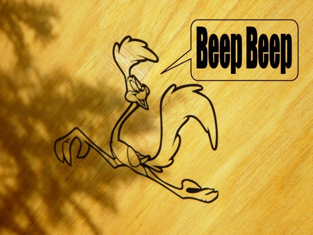 RoadRunneR 07