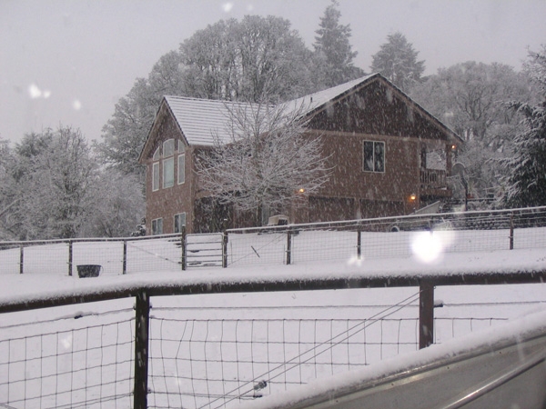 Winter Snow at the house