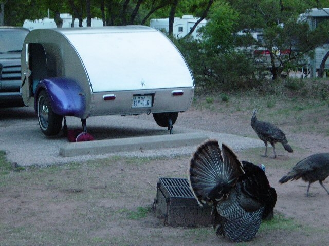 Turkey