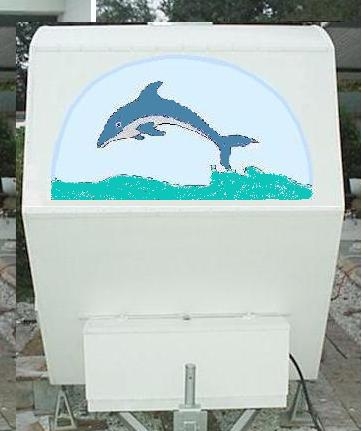 dolphin