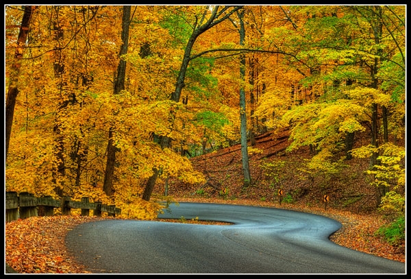 fall