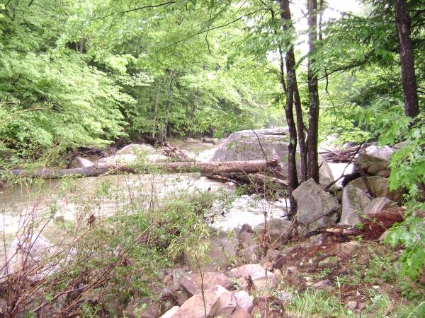 strainer on the creek