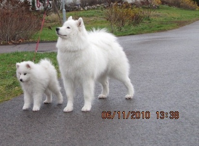 Siru & Una