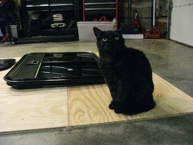 Felicity inspecting layout