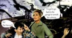 the birds movie still