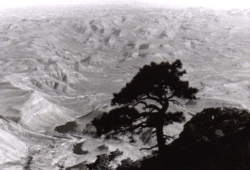 Guadalupe Mountains 1