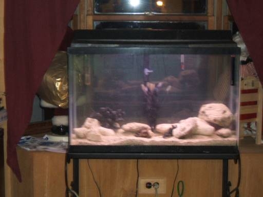 aquarium