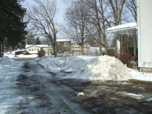 snow1