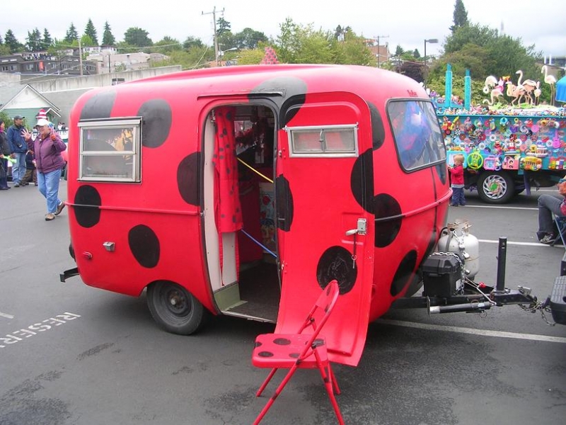 Bug4Art - Boler Ladybug 3