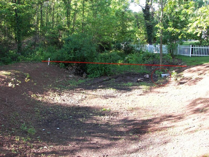 Backyard 4