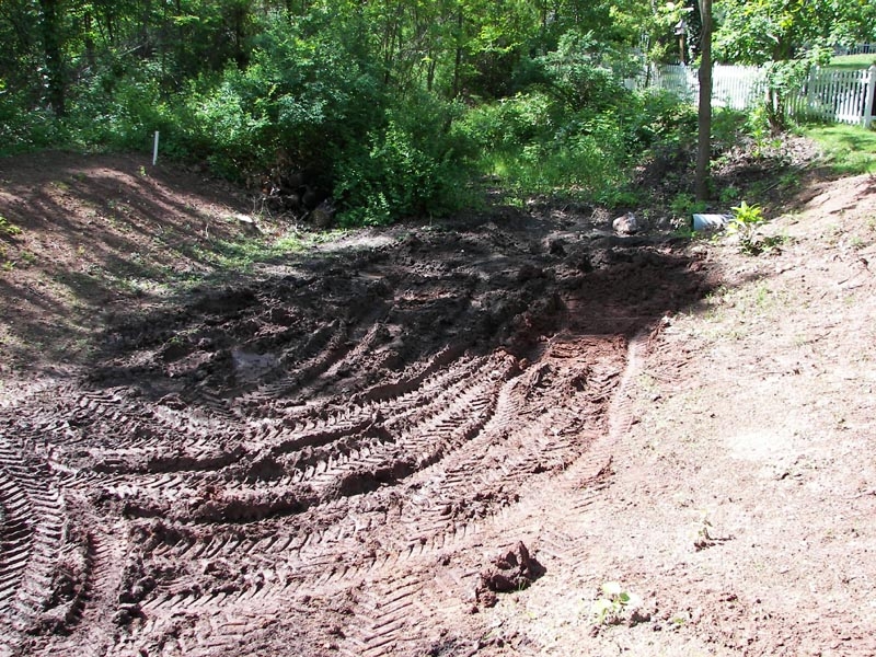 Backyard5