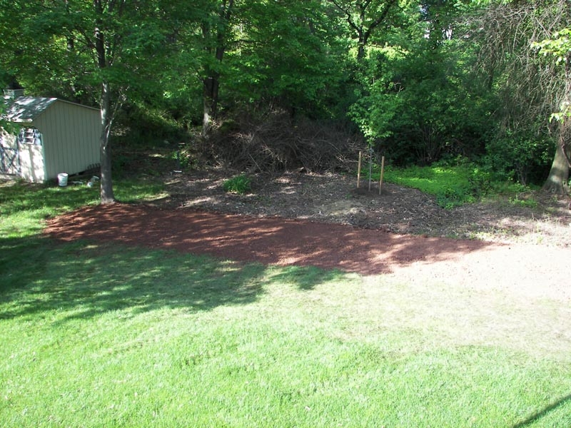 Backyard 11