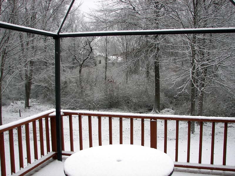 Snow 1