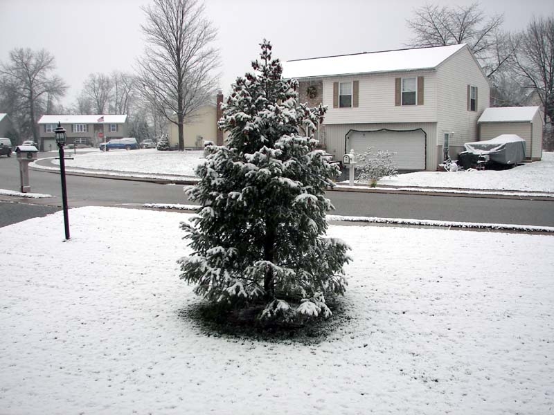 Snow 4