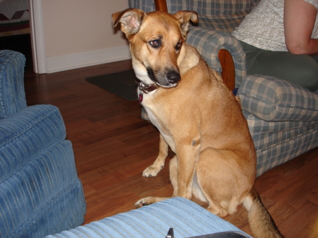 PENNY
