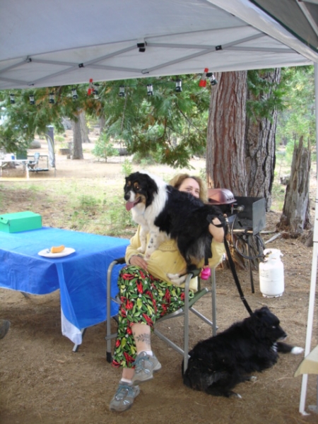 DSC00016