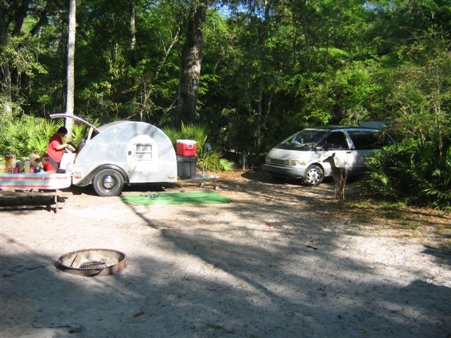 Manatee springs camp site