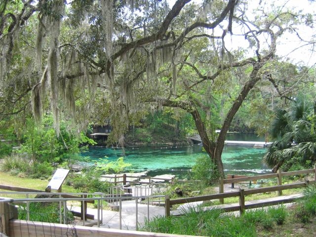 Fanning Springs