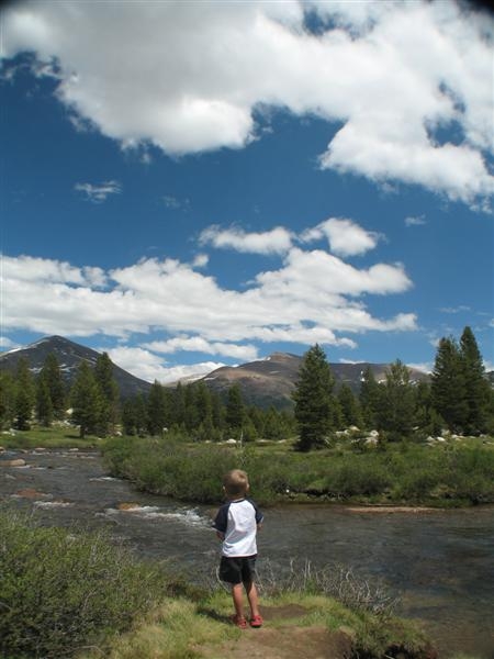 Tuolumne Meadows