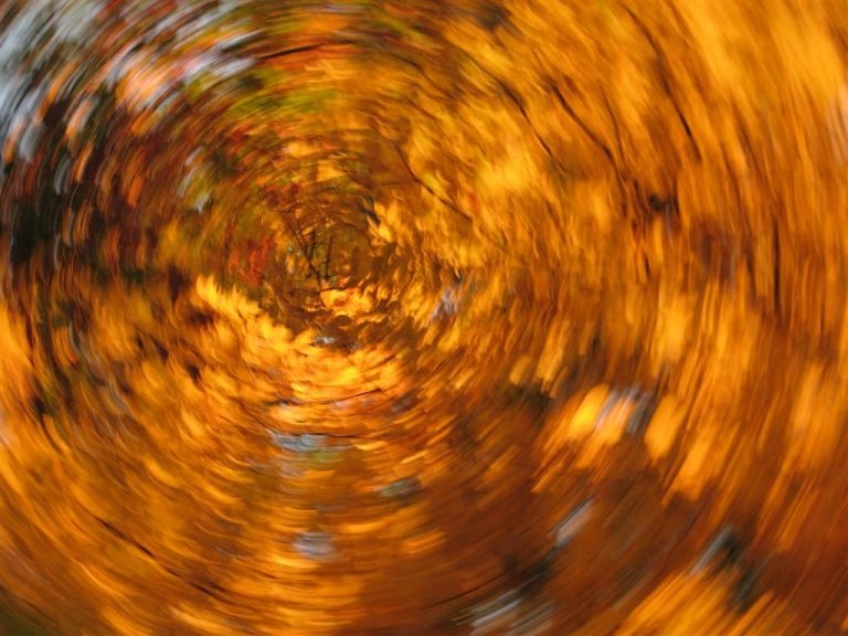 fall