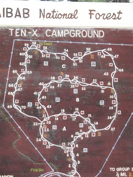 ten-x
