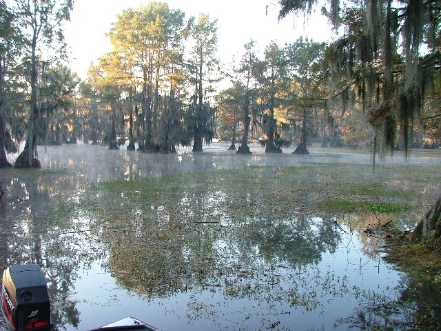 Lake Bisteneau, LA