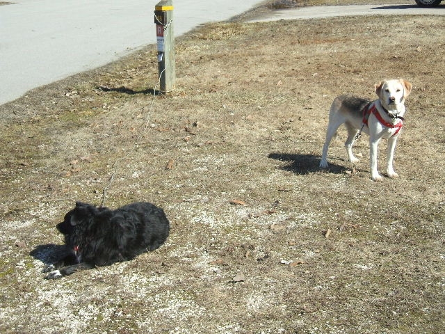 Maggie and Boomer