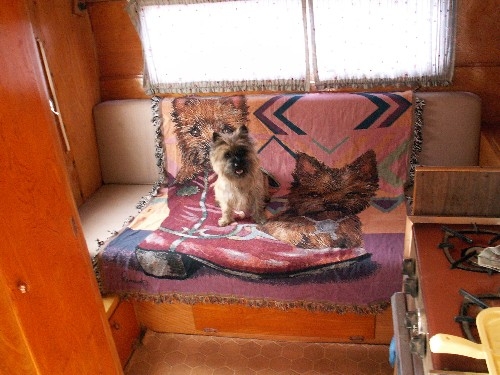 Kenskill Dog