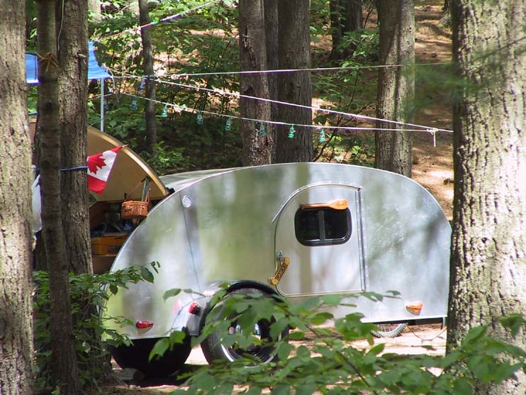 Our PJ Snoozer Resting Amongst Tall Pines