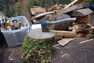 IRG4woodnax