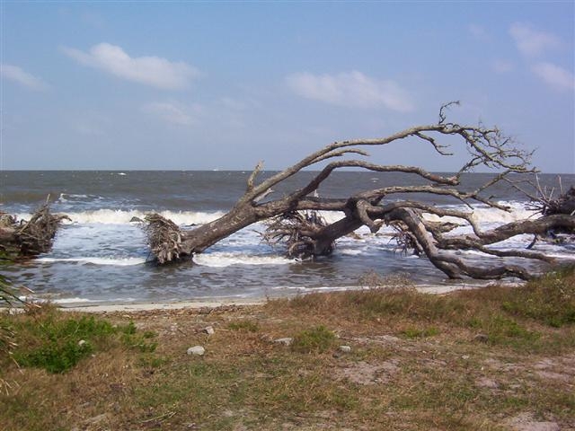 beach erosion