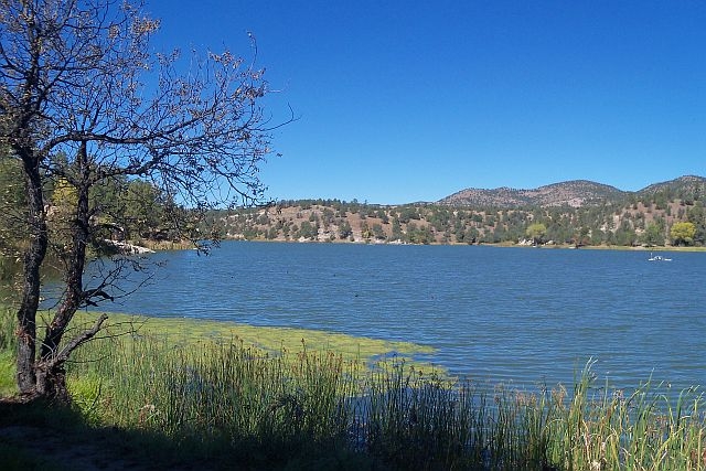 Floating aerator on healthy Lake Robert's in the Gila National Forest, New Mexico