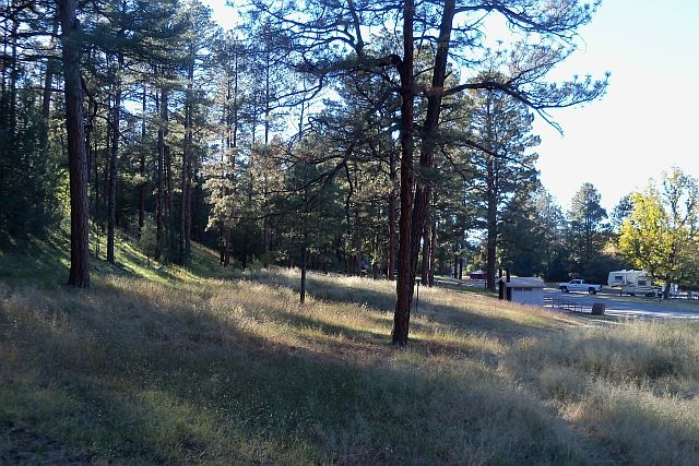 Late afternoon view looking SW from campsite 4 at the Lake Robert's Upper End Campground in the Gila National Foreest, New Mexico