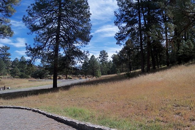 View looking east from Campsite 4 at The Upper End Campground, Gila National Forest, New Mexico