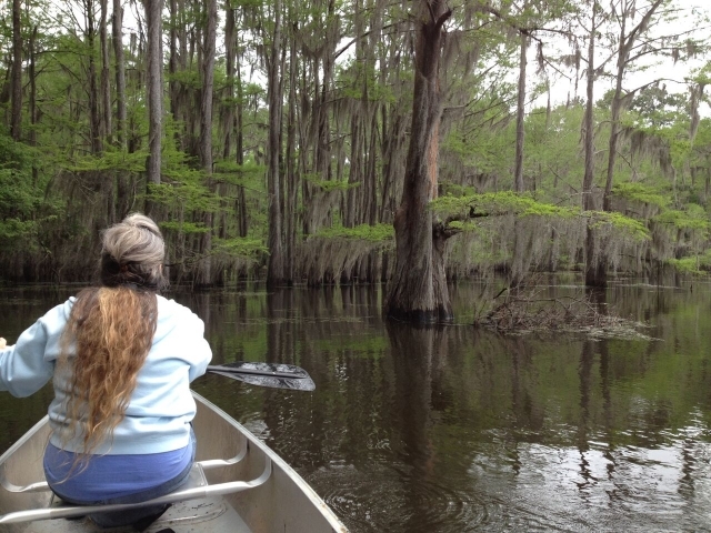 Caddo Lake, TX Canoe