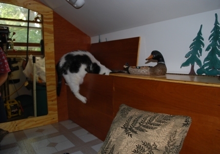 You know what they say about curiousity...