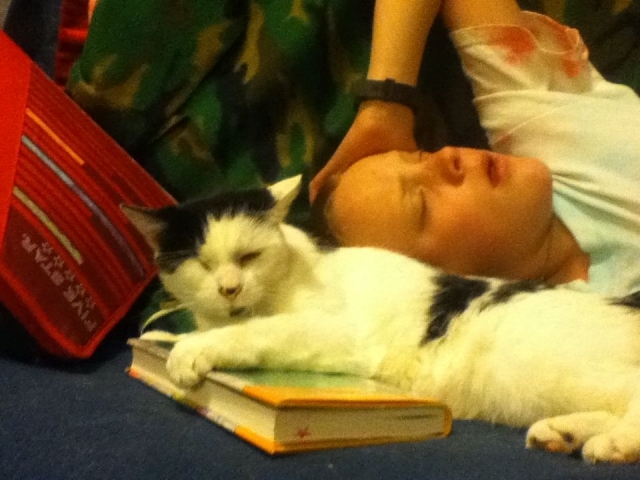 Gilbert