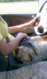 Hobo in car