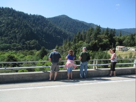 8 Looking down on Pearch Creek Greenery