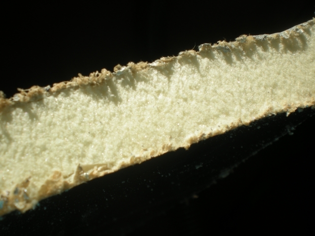 edge cut on foamboard
