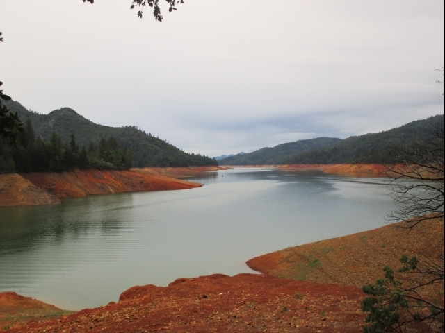 McCloud Arm on an Overcast Day