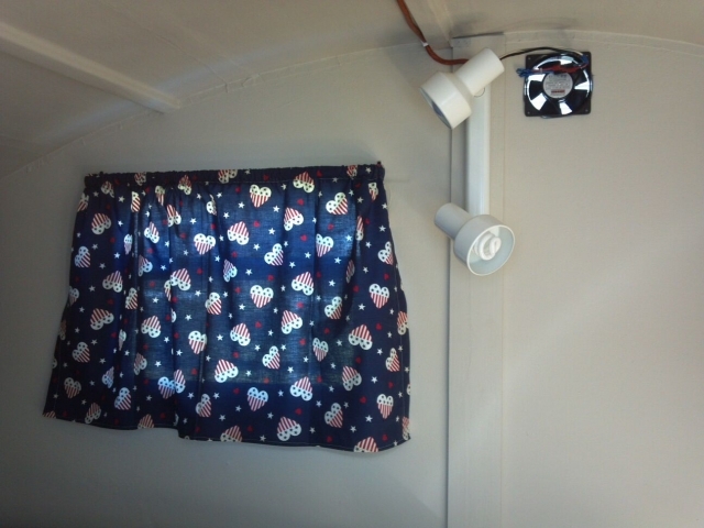 curtains 2