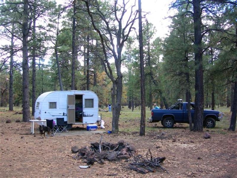 another camping trip