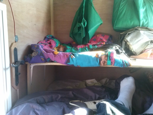 removeable dog bunk