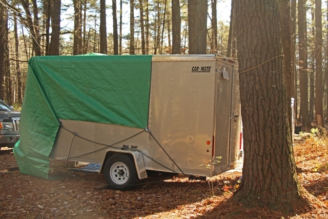 Nov Camp 8
