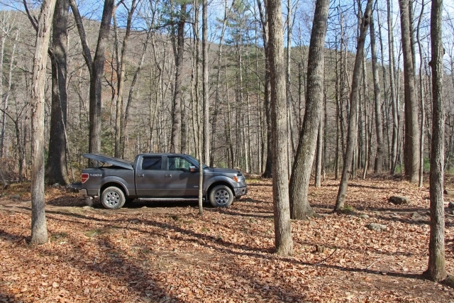 Truck in Woods 1