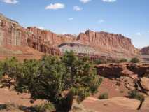 Capital Reef IMG 1178