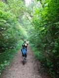 biking the redwoods