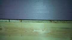 little gap