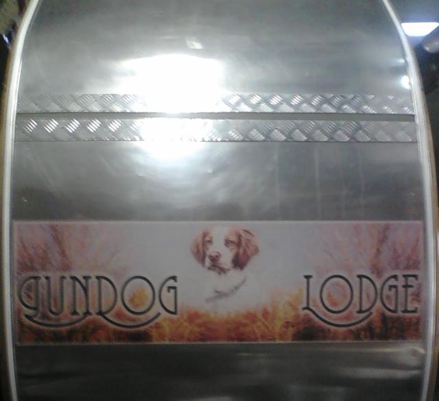 TDgundog